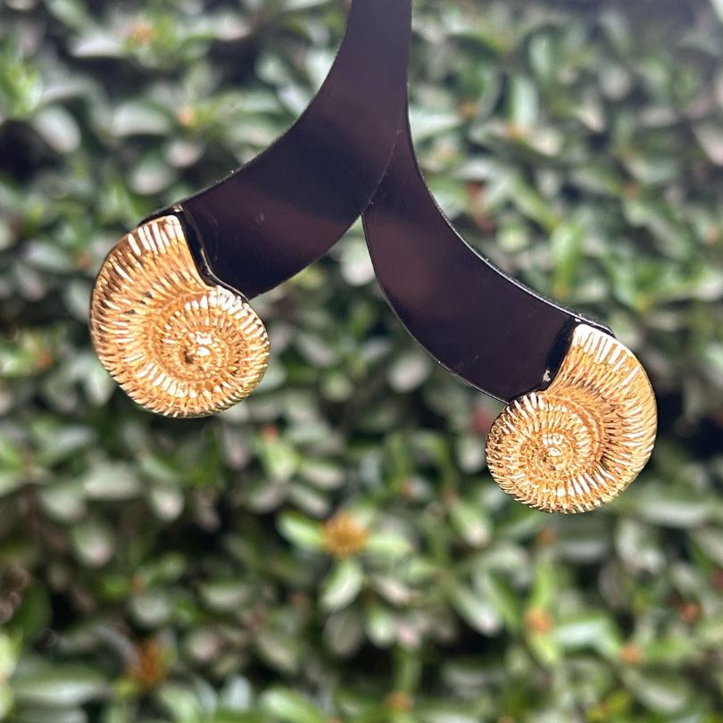 Conch Shell Golden Stud Earrings