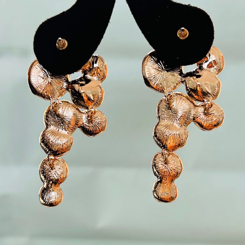 Layer of Circle Earrings