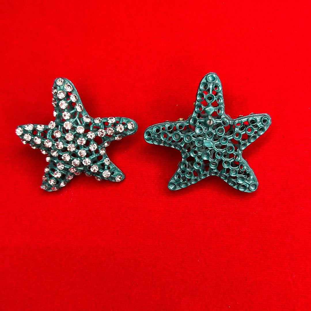Holly Blue AD Studded Star Earrings
