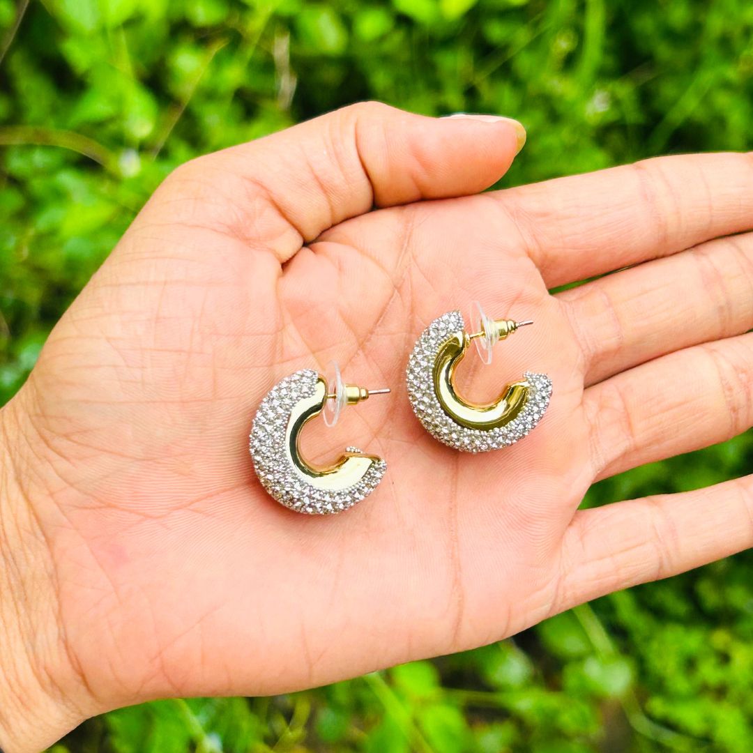 Bling Blogger Silver Small Hoop Earrings