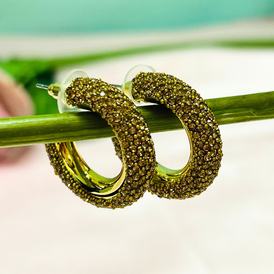 Bling Blogger Golden Hoop Earrings