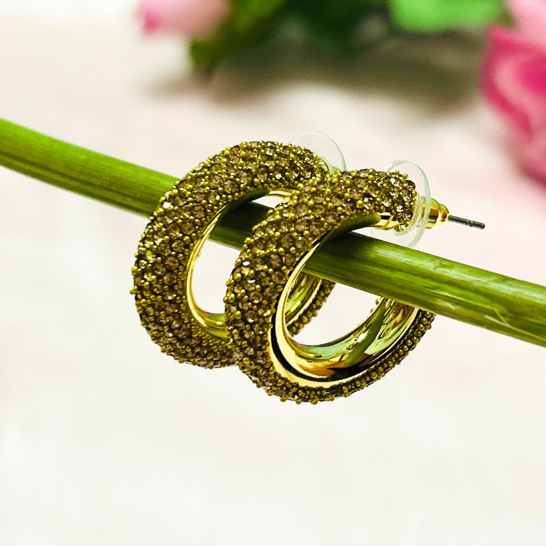 Bling Blogger Golden Hoop Earrings