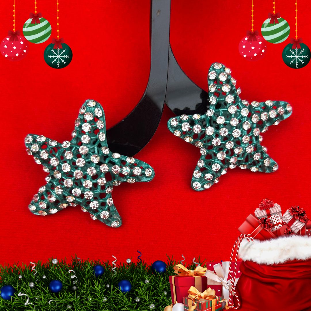 Holly Blue AD Studded Star Earrings