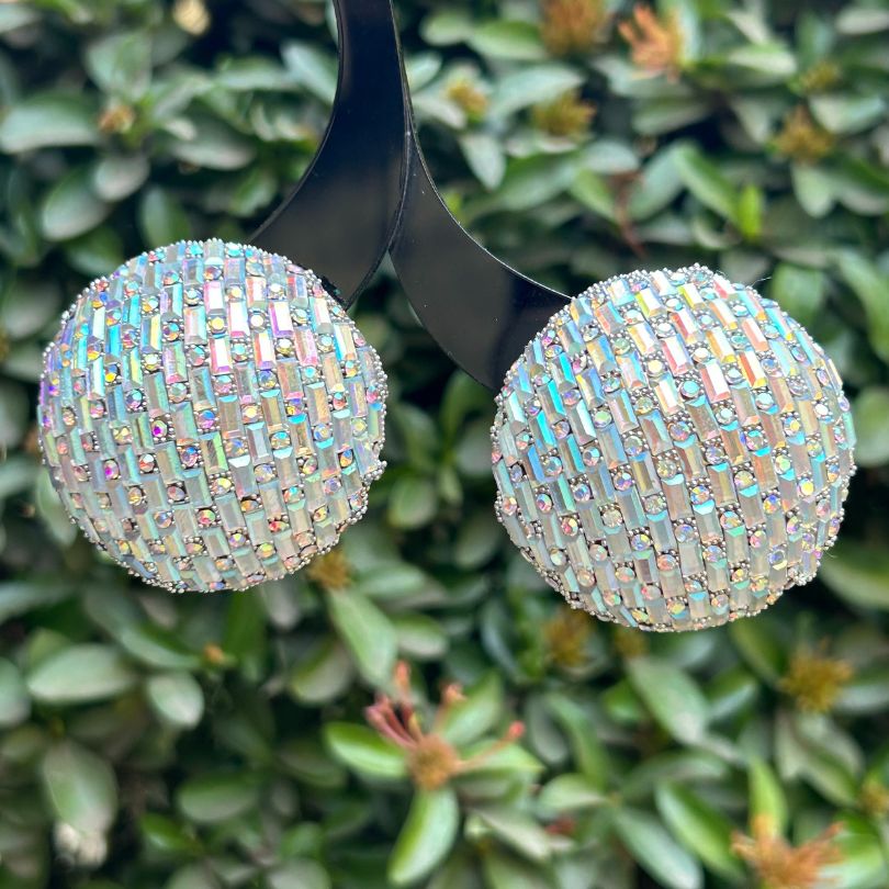 Bling Blogger Silver Stud Earrings - Big