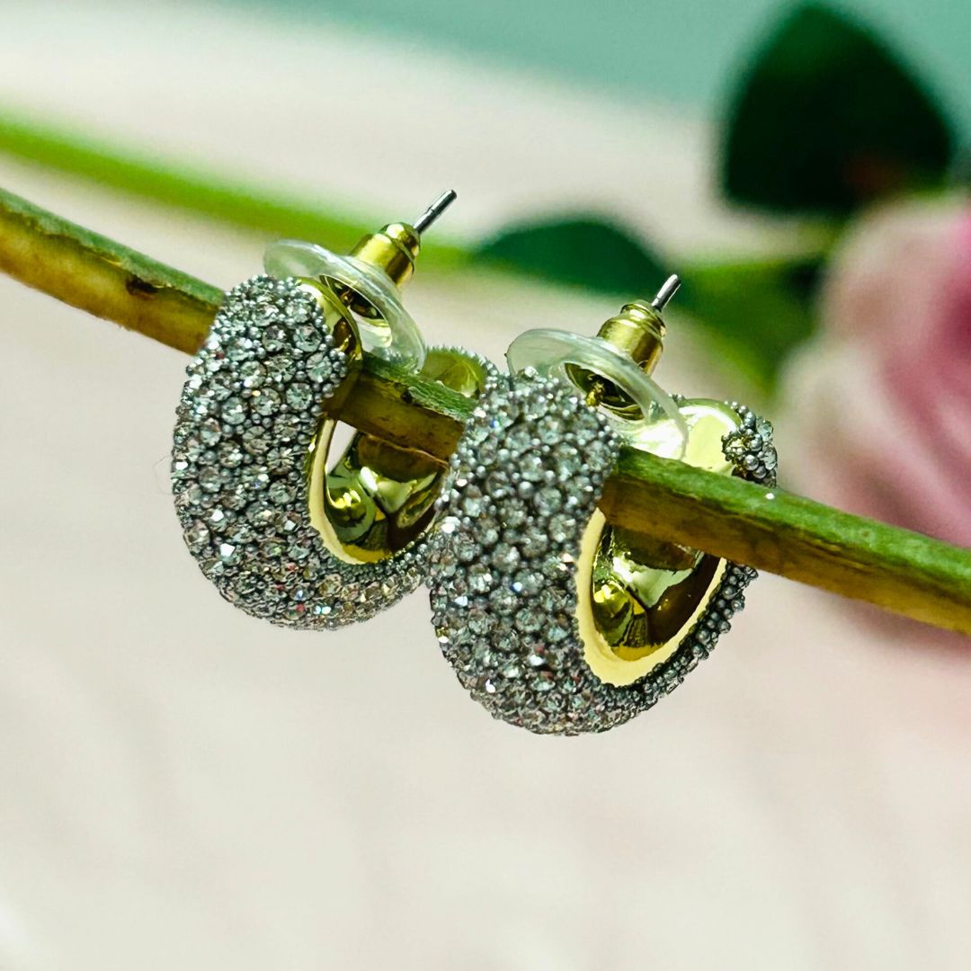 Bling Blogger Silver Small Hoop Earrings
