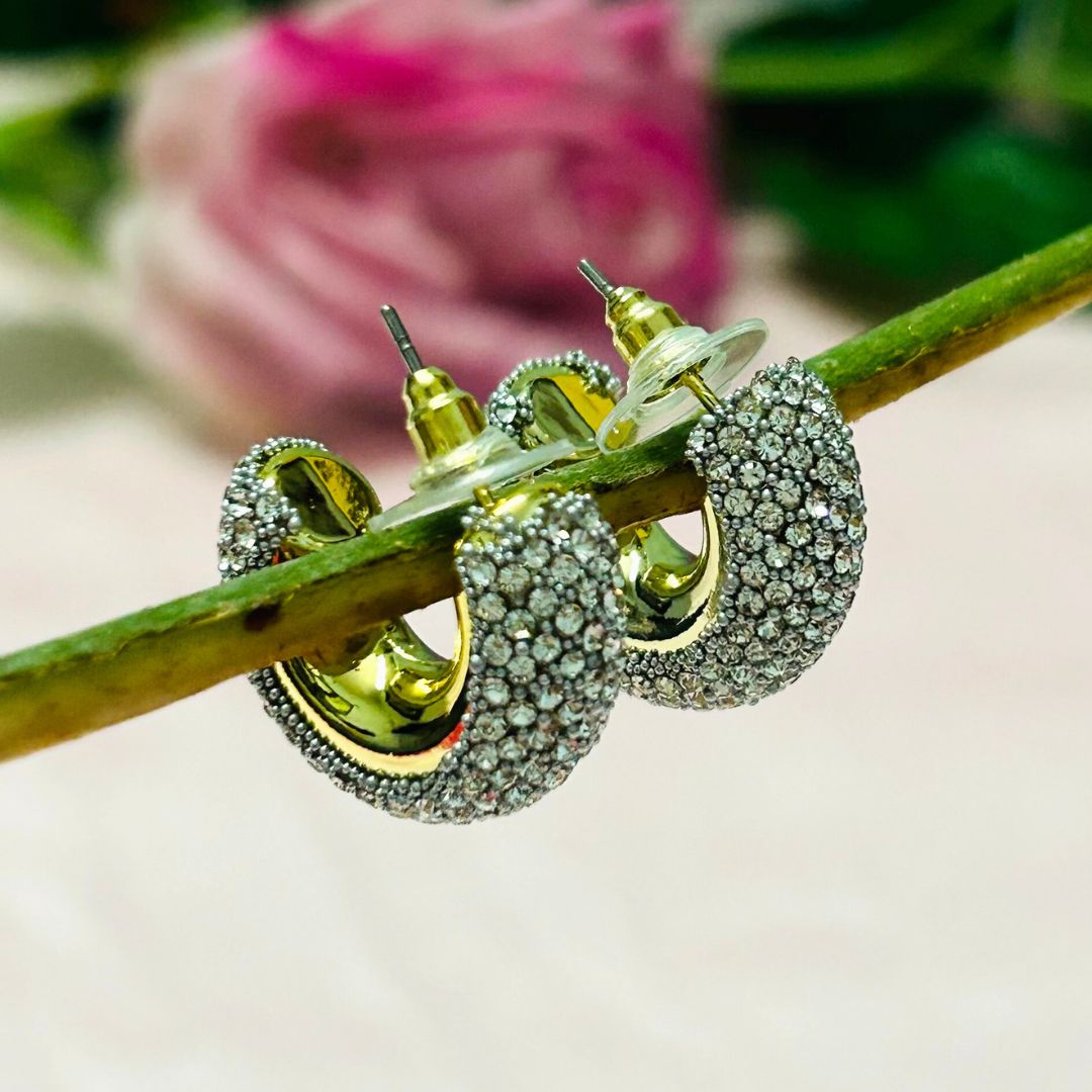 Bling Blogger Silver Small Hoop Earrings