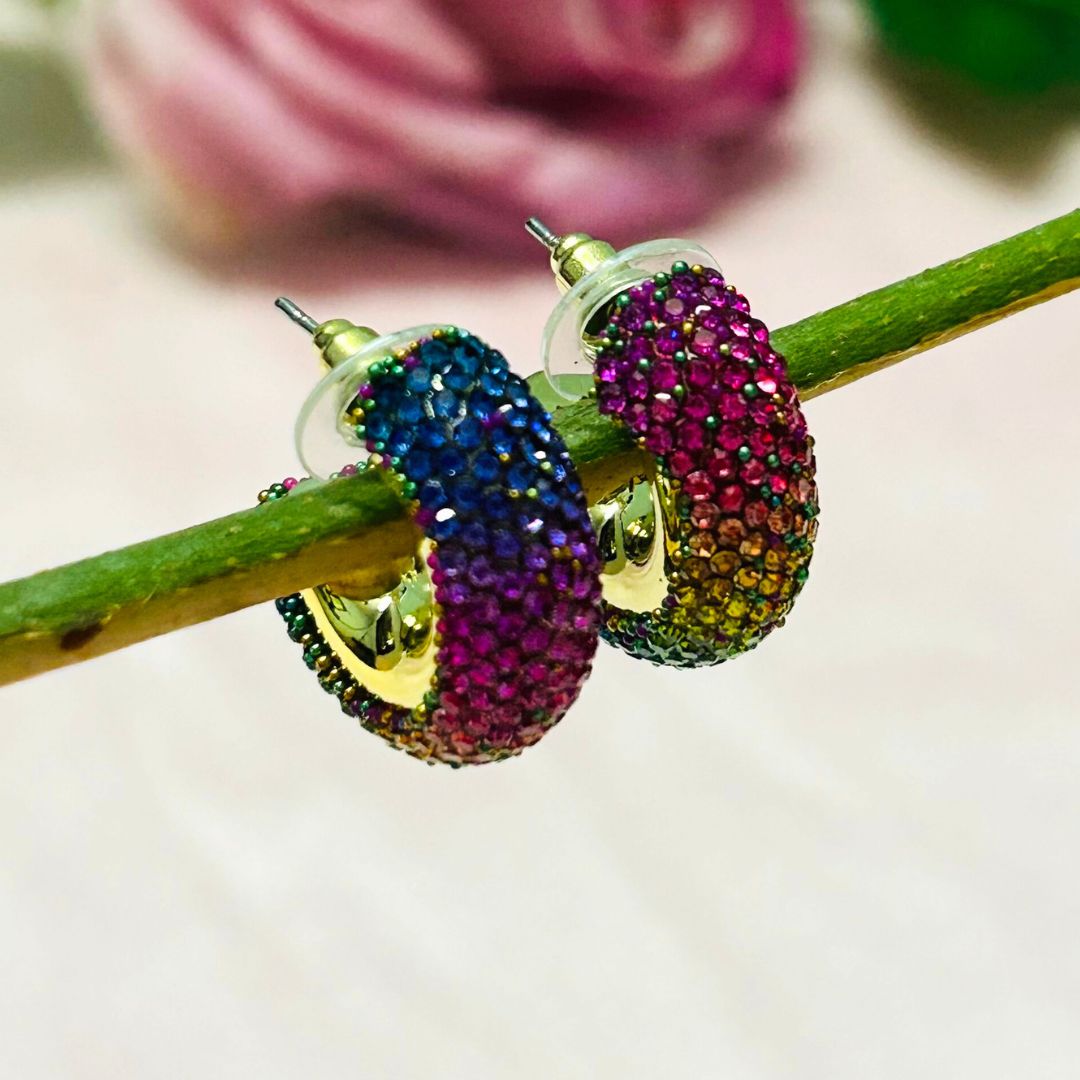 Bling Blogger Multi Small Hoop Earrings