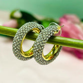 Bling Blogger Silver Hoop Earrings