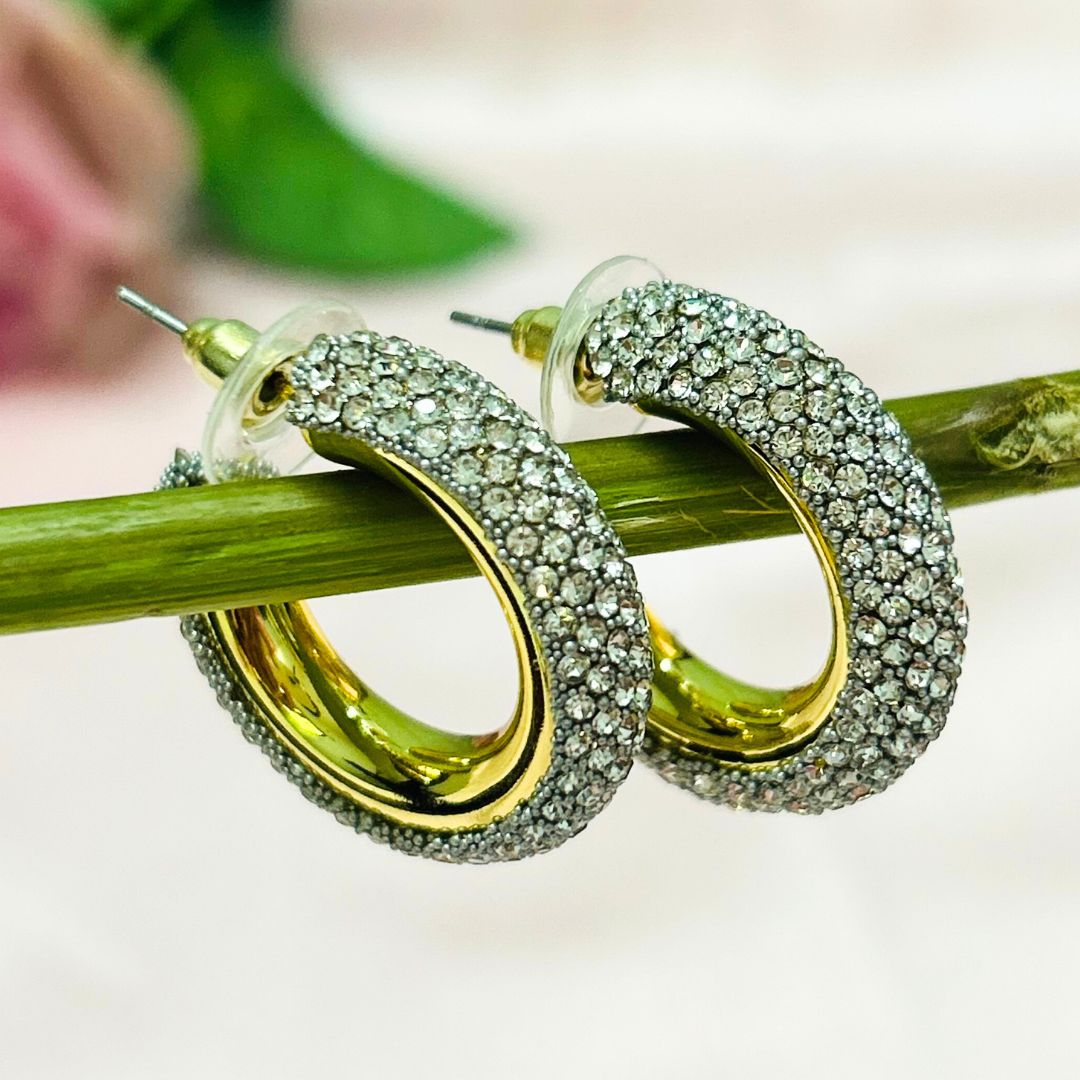 Bling Blogger Silver Hoop Earrings
