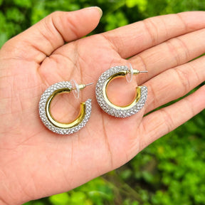 Bling Blogger Silver Hoop Earrings