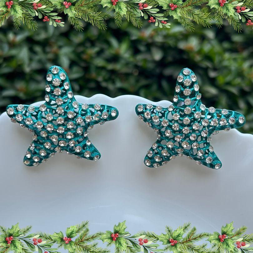 Holly Blue AD Studded Star Earrings