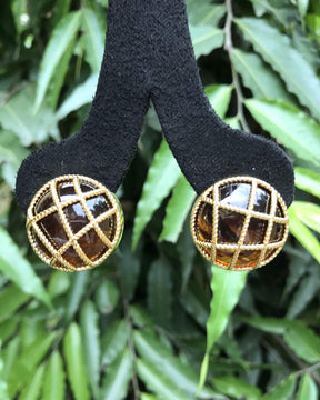 Brown Cage Stud Earrings