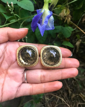 Brown Dome Stud Earrings