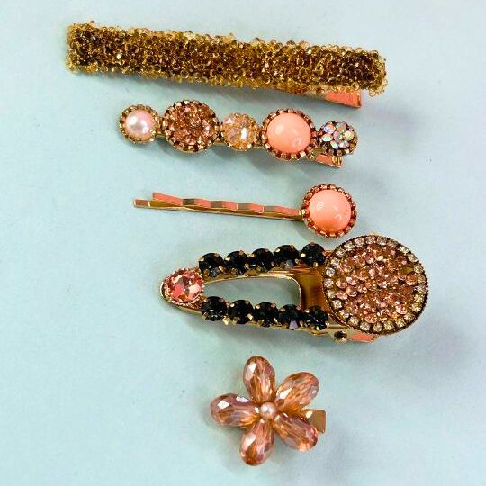 Women Set of 5 Hair Clips