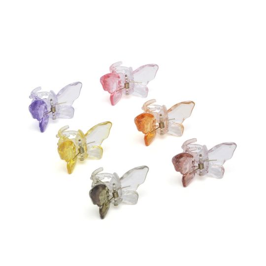 Women Set of 6 Transparent Claw Clips